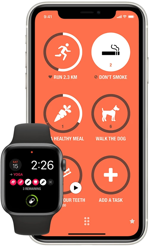 Streaks app circular icons showing habit completion progress