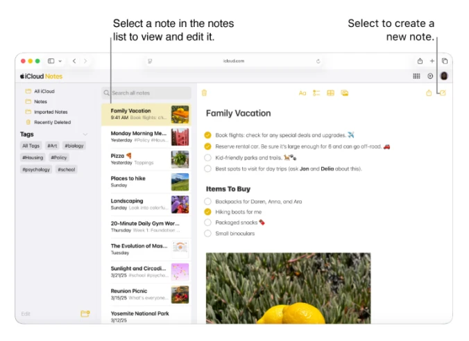 Apple Notes interface showcasing grouping and tags, checkable lists, image insertion, and quick editing