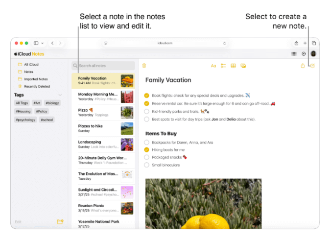Apple Notes interface showcasing grouping and tags, checkable lists, image insertion, and quick editing