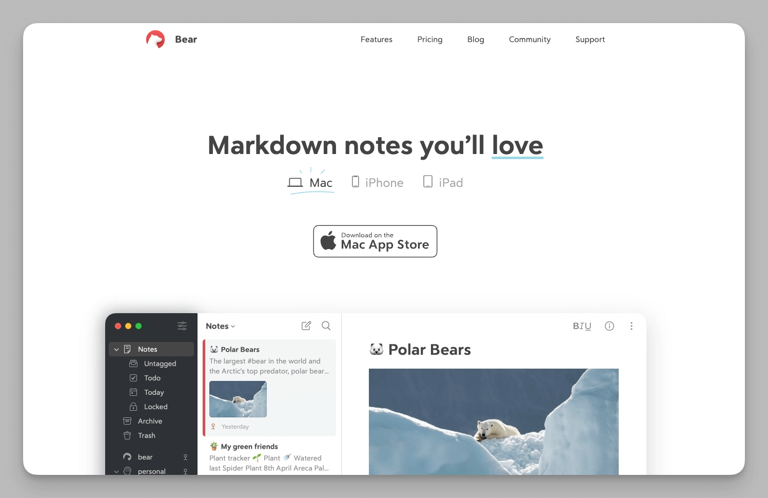 Bear Notes Apple ecosystem optimization and download page.
