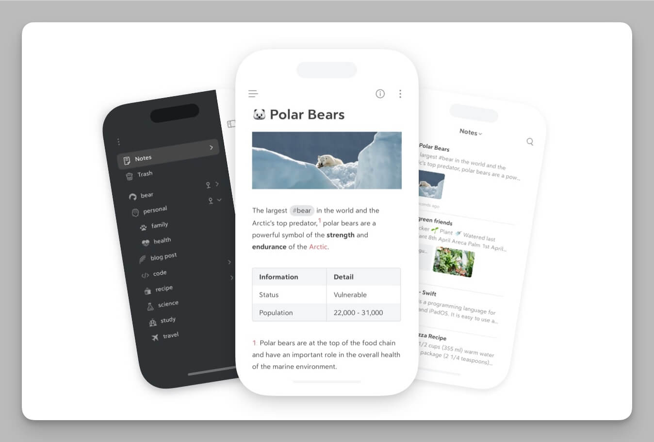 Bear Notes minimalist AI integration using native Apple Intelligence features.