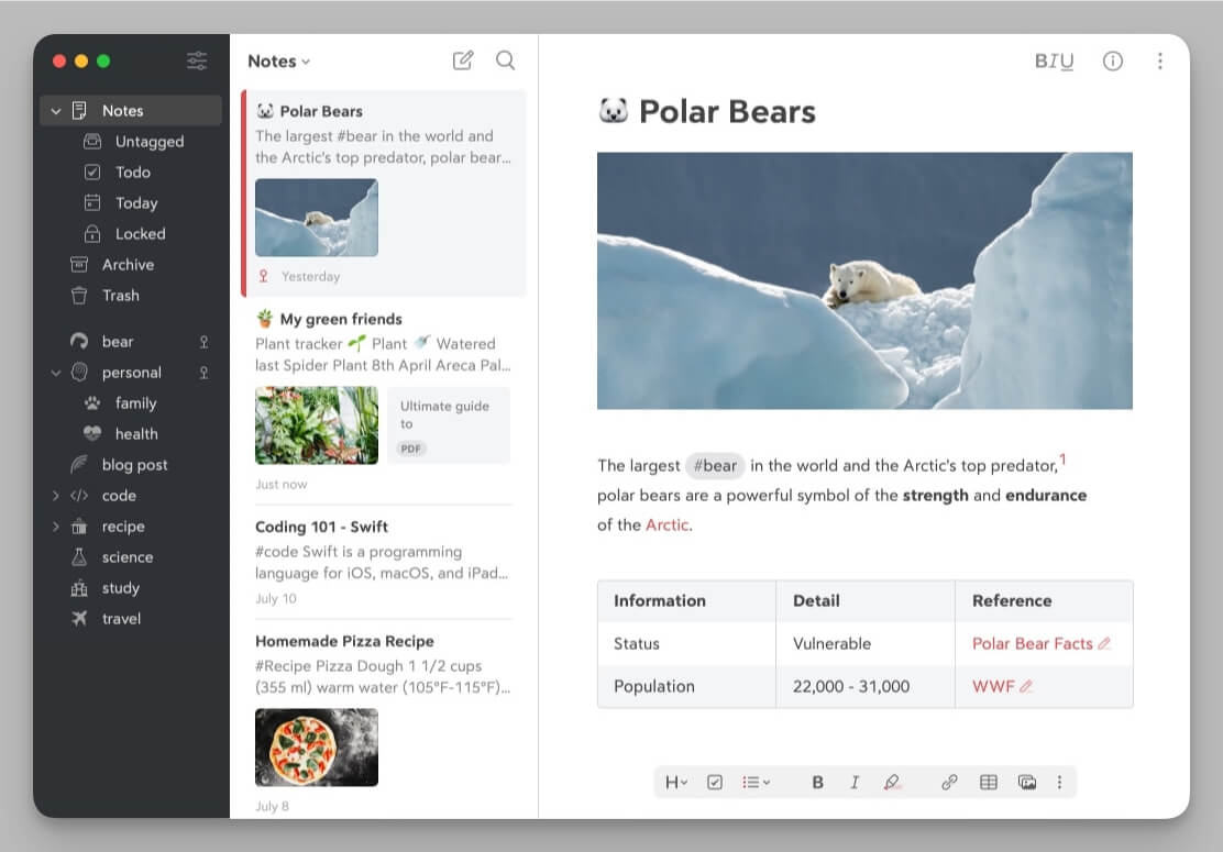 Bear Notes Markdown creative environment and high-quality export options.