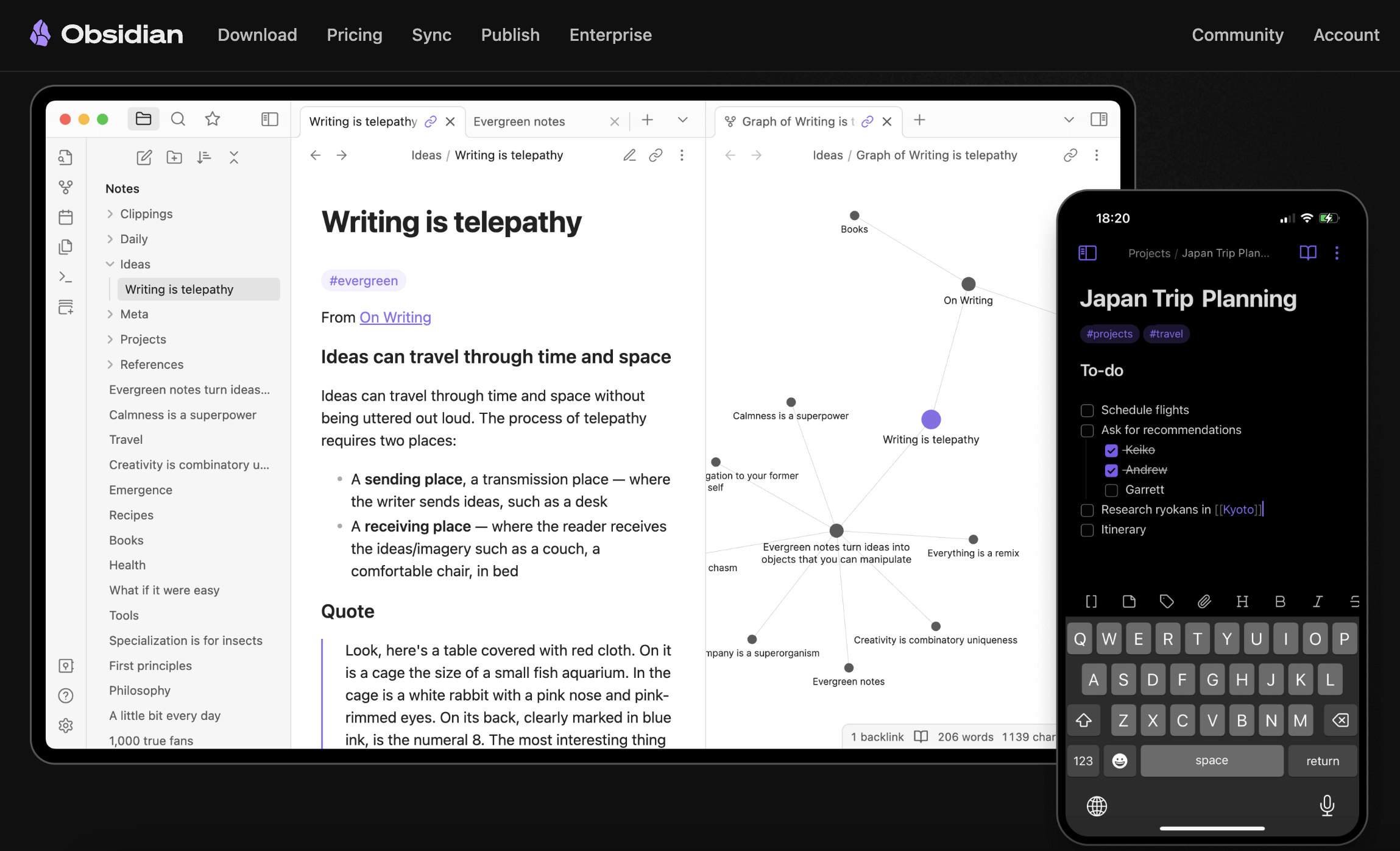 Obsidian graph view showing connected notes
