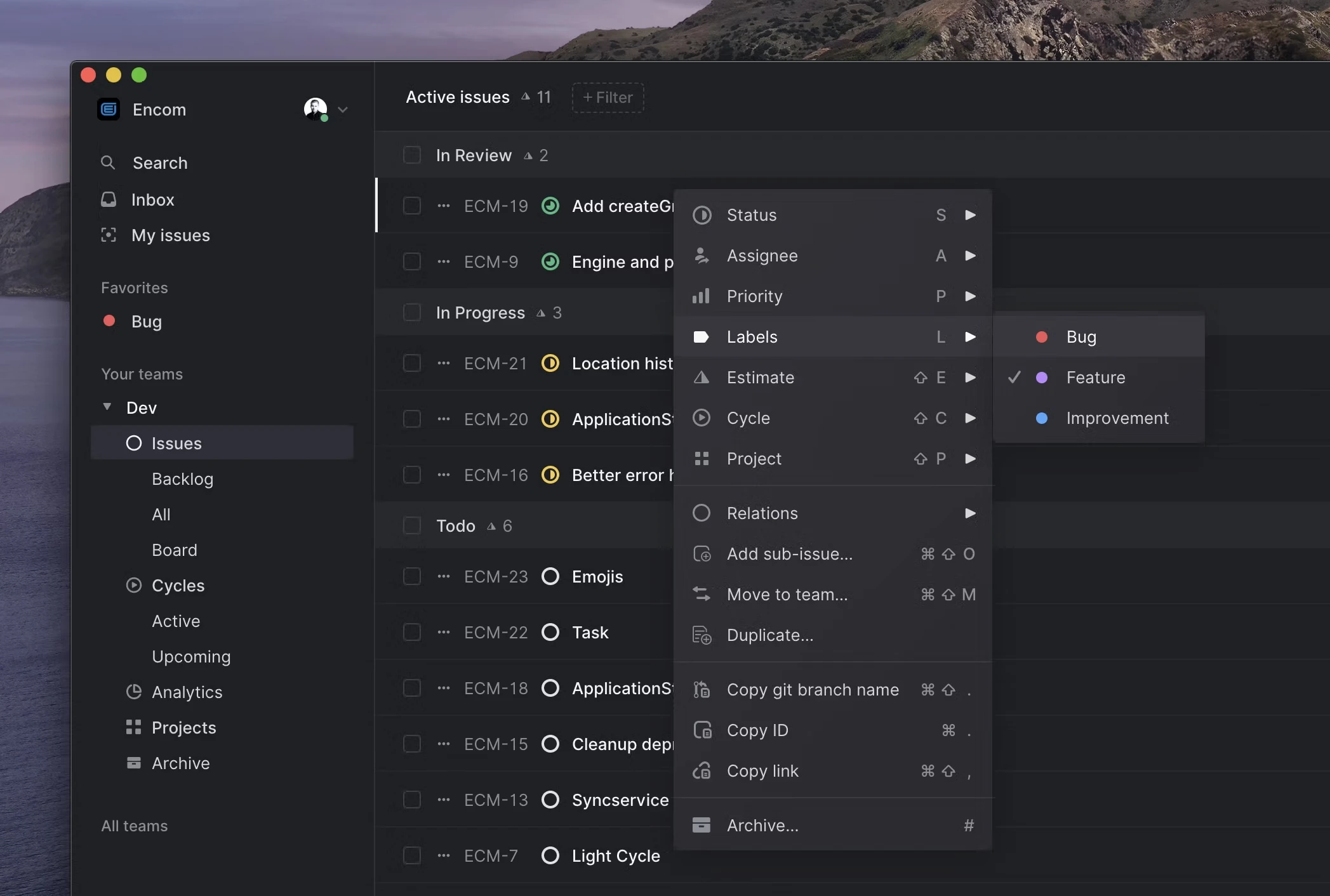 Linear issue workspace with streamlined menus and fast view switching